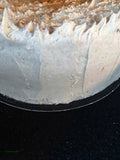 Cinnamon pistachio cake with cinnamon buttercream frosting | 9inch Round | Bundt Cake - serves 10-14