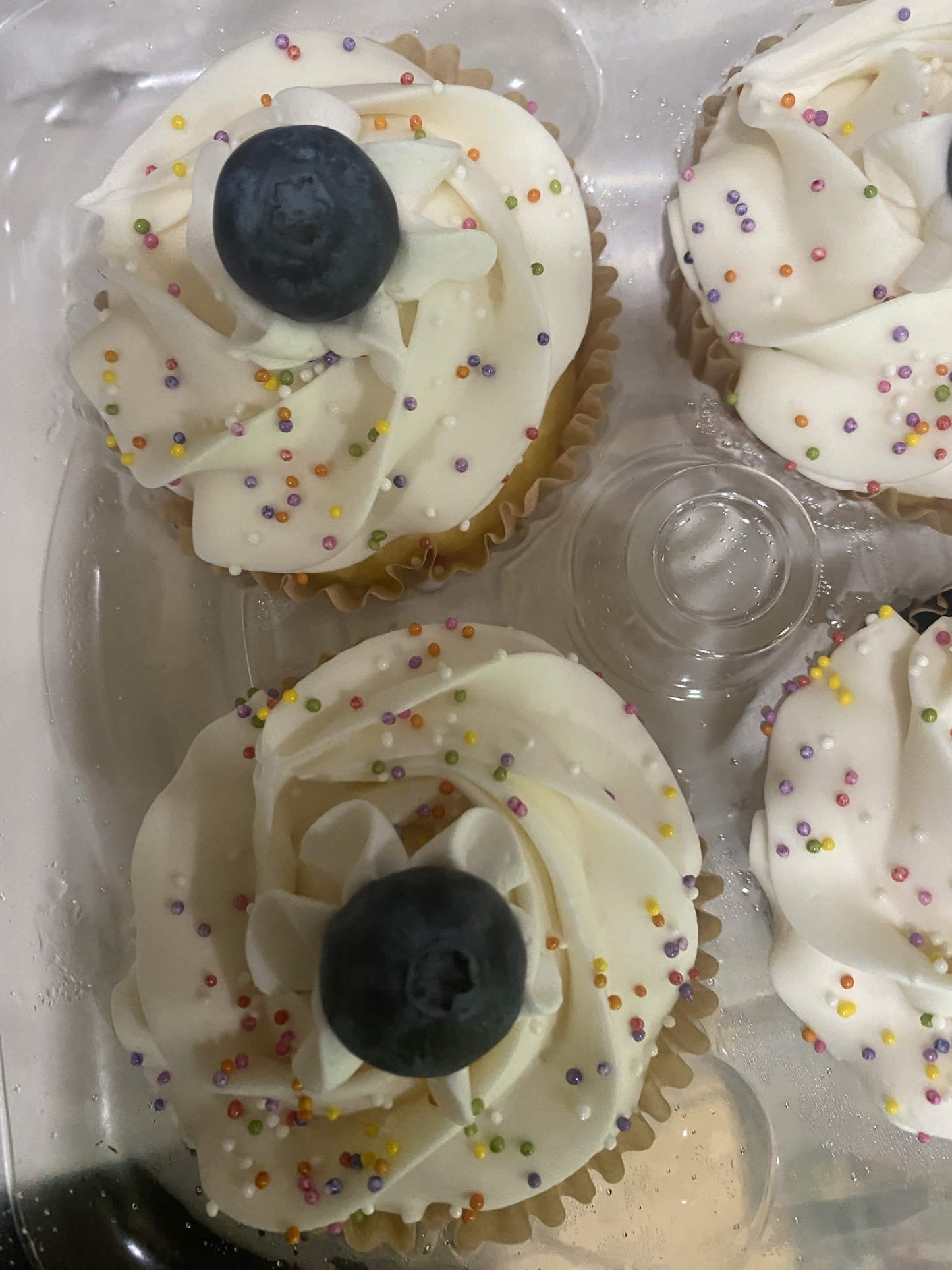 Blueberry Cupcakes